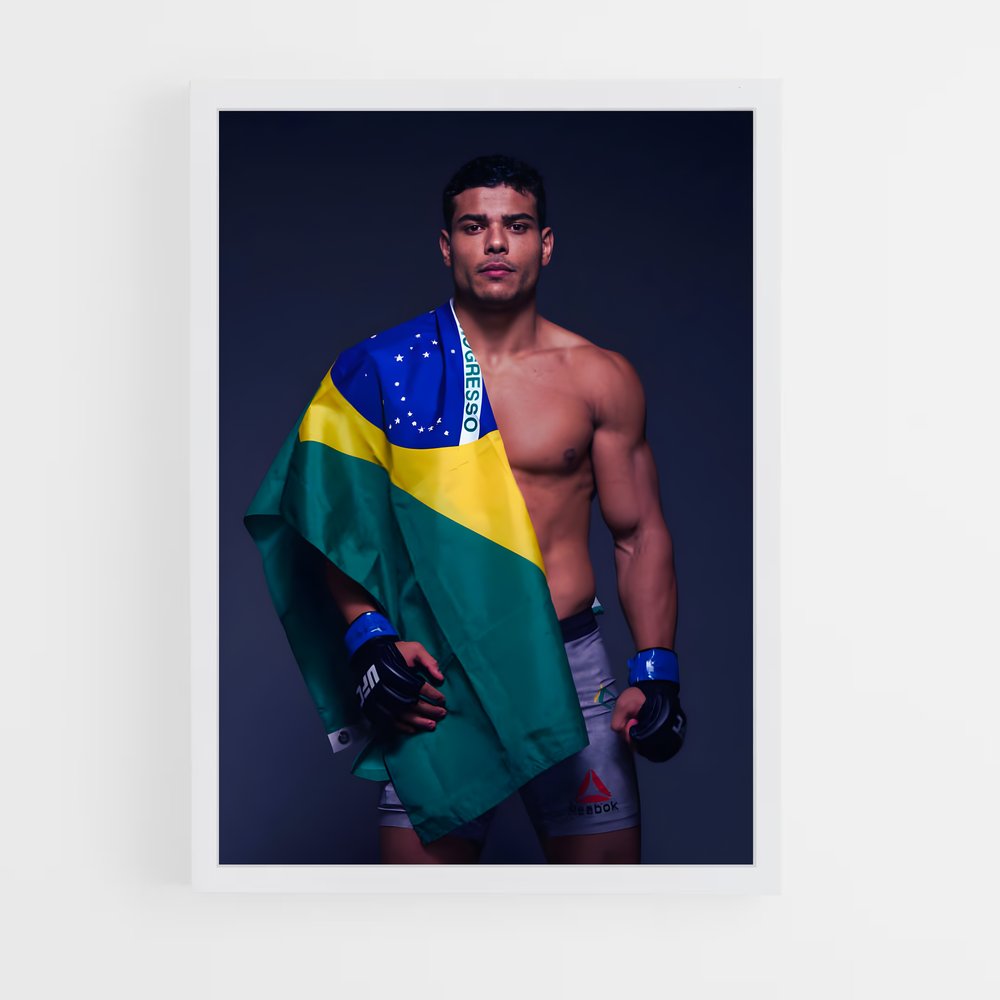Poster Le Drapeau de la Liberté – affiche MMA (vue 3)